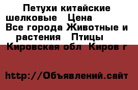 Петухи китайские шелковые › Цена ­ 1 000 - Все города Животные и растения » Птицы   . Кировская обл.,Киров г.